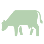 tierische-produkte-deananddavid